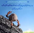 انسان بر وجود خویشتن آگاه است