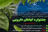 جشنواره گیاهان دارویی ویژه‌ی اعضا هیئت‌علمی علوم پزشکی گیلان