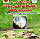 برگزاری جشنواره خیکی پنیر در لنگرود